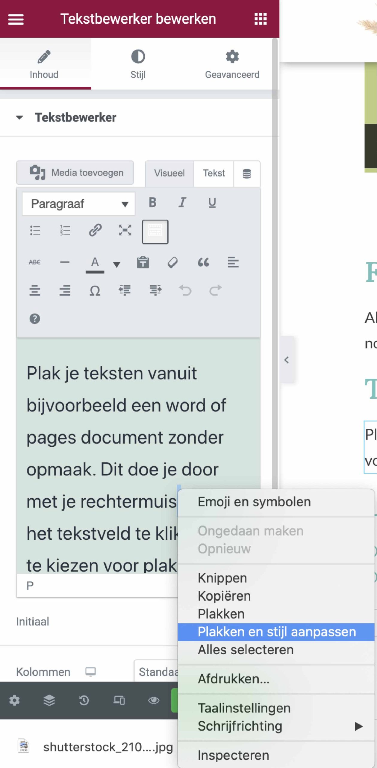 Plakken zonder opmaak
